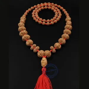 Natural indonesia indra indrani java rudraksha mala 1 to 21 mukhi original