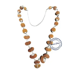 Natural nepali indra indrani rudraksha mala 1 to 21 mukhi original