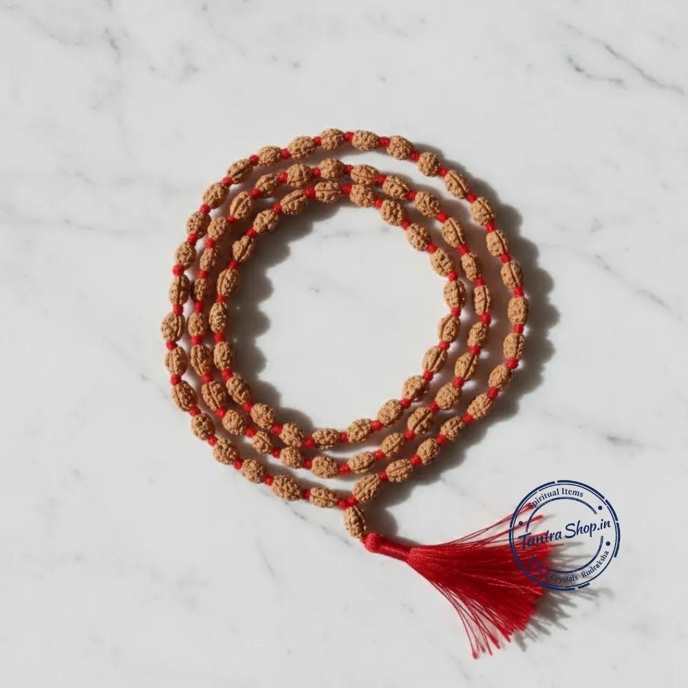 Natural 1 Mukhi Indonesia Rudraksha Mala – Original & Authentic Natural 1 mukhi indonesia rudraksha mala original beads