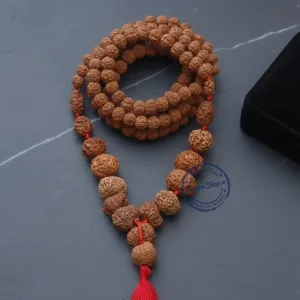 Natural siddha indonesia rudraksha mala 1 to 14 mukhi