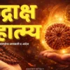 Rudraksha 1 to 14 Mukhi complete guide spiritual benefits sastrokt