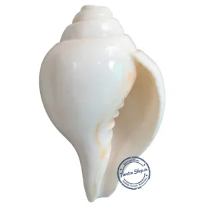 Blowing shankh puja ritual sound spiritual use