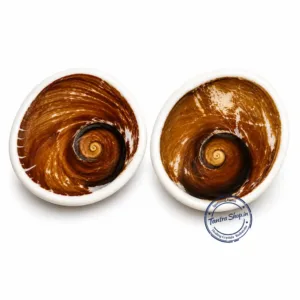 3 inch gomti chakra hand display natural original