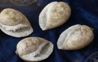 Sughoshmani Heera Shankh natural crystal surface